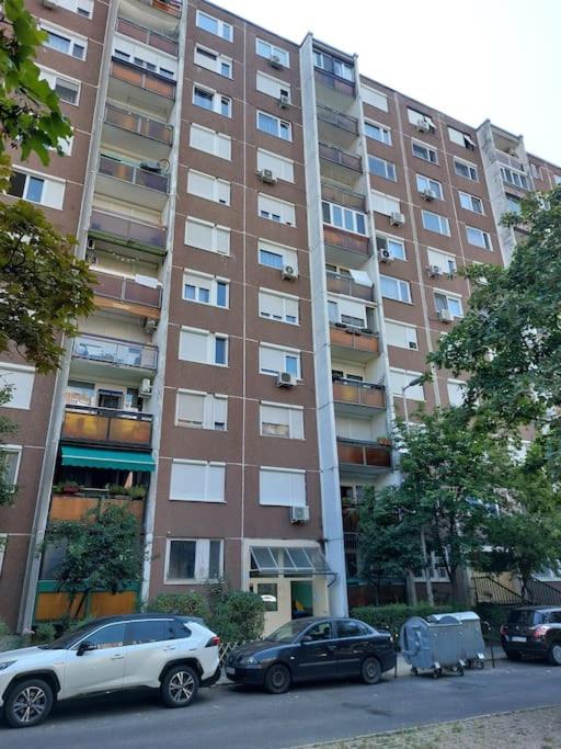 Erzsebet Apartman, Free Parking Apartment Будапеща Екстериор снимка